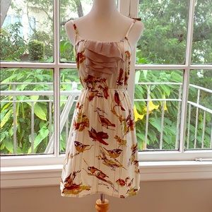 Anthropologie bird patterned dress